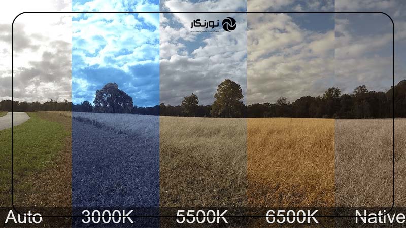 چگونه وایت بالانس رنگ‌ها را در عکس تنظیم می‌کند؟