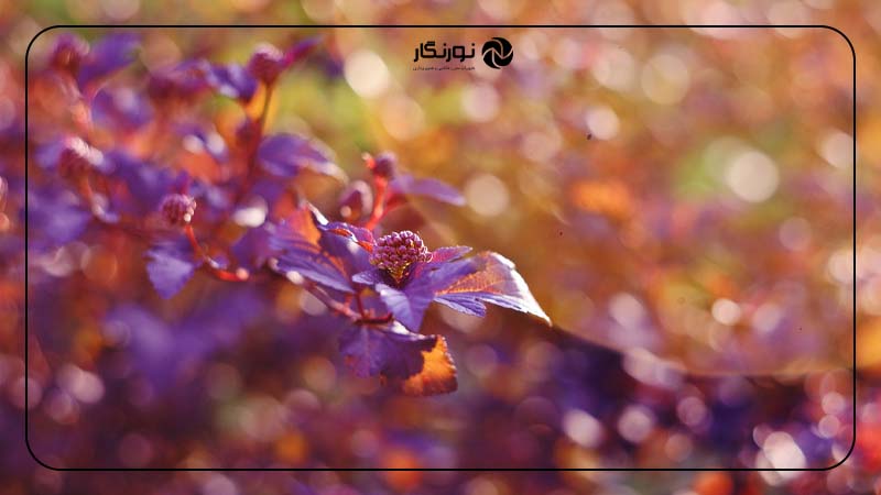 انحرافات کروی