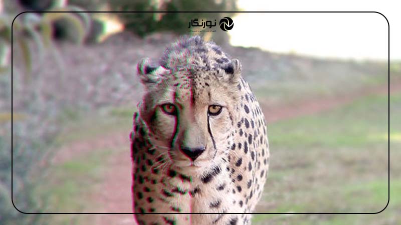 تأثیر انحرافات لنز در عکاسی