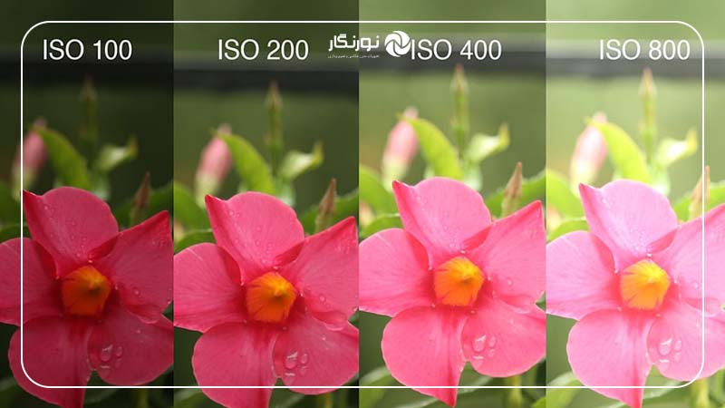 تغییر ایزو برای دستیابی به نور مناسب