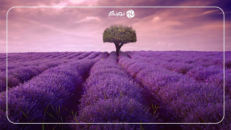 خط افق و جداسازی آسمان و زمین