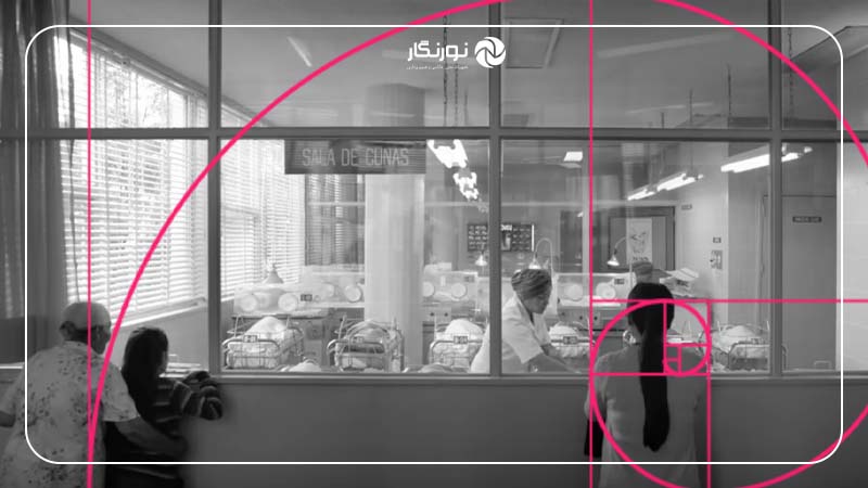 خطوط راهنما در ترکیب‌بندی