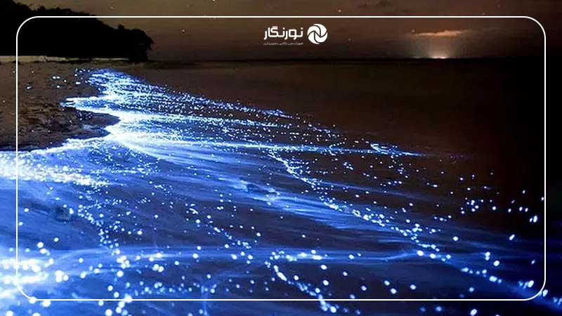 ساحل نقره‌ای: شن‌های درخشان زیر نور خورشید