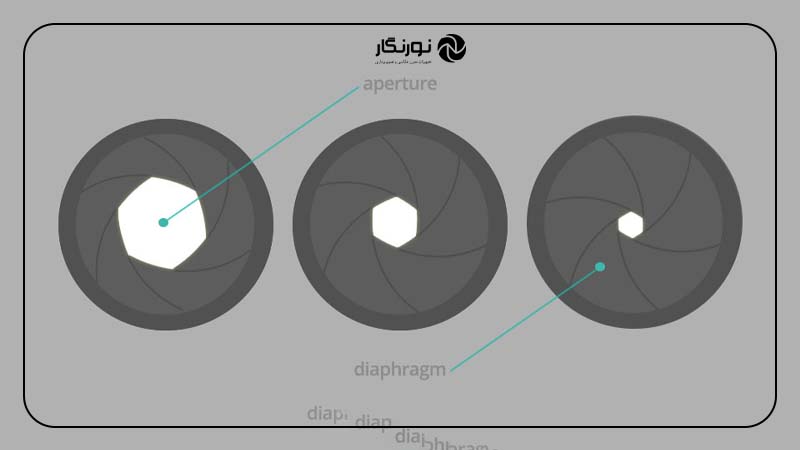 عملکرد دیافراگم