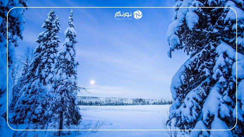 عکاسی از درختان پوشیده از برف