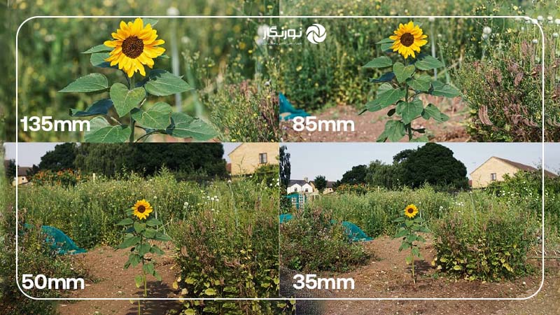 فاصله کانونی و زاویه عکاسی