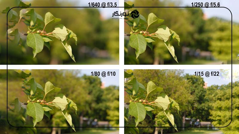 فوکوس دیافراگم