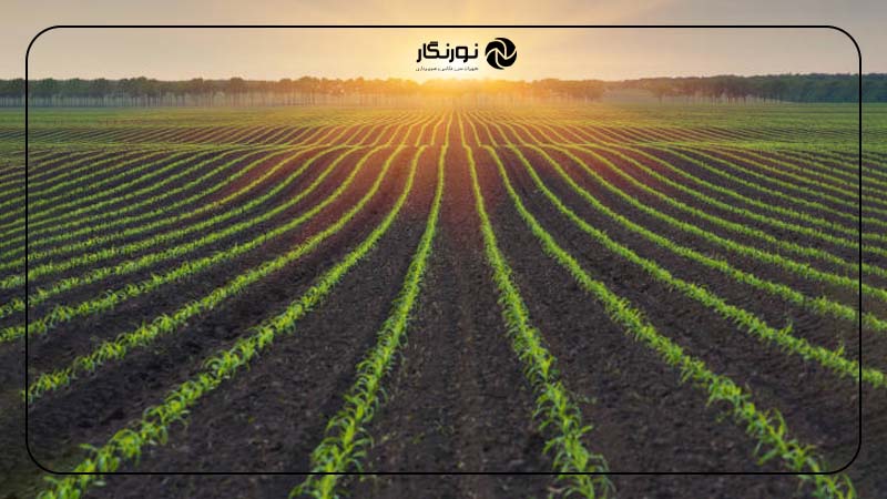 موقعیت خط افق در تصاویر