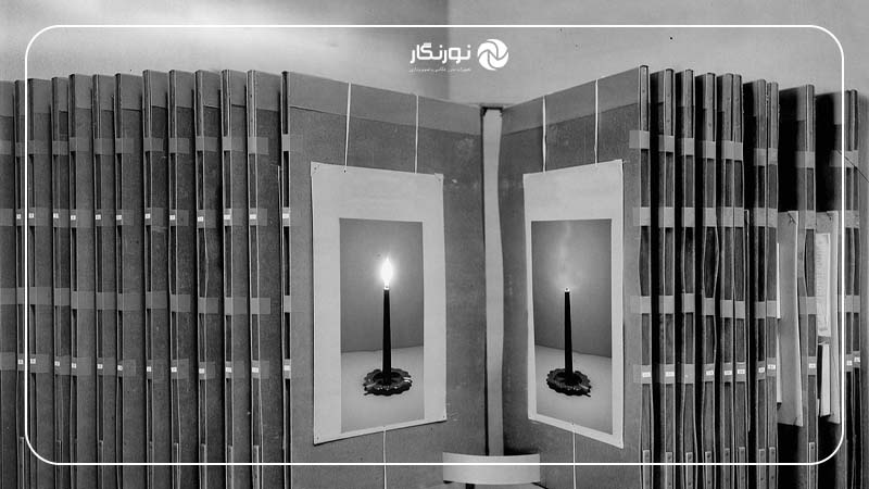 برنده بخش عکسهای بیجان (Still Life)