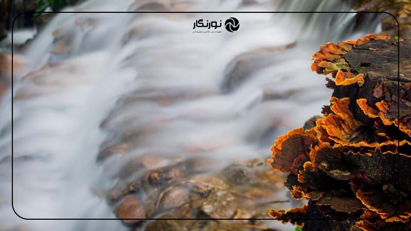 آبشار، رودخانه و حرکت آب