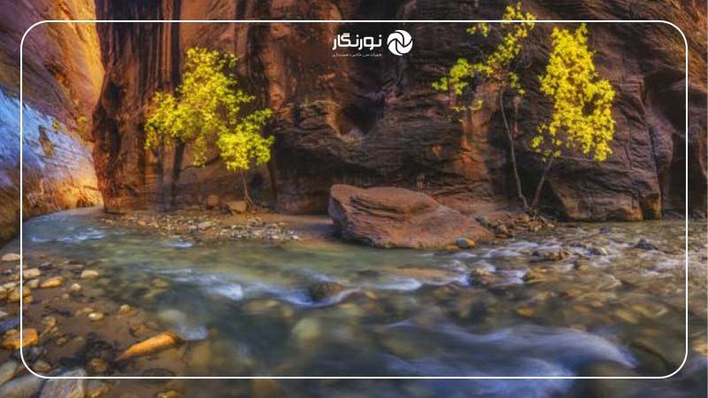 ایجاد نویز در تصویر