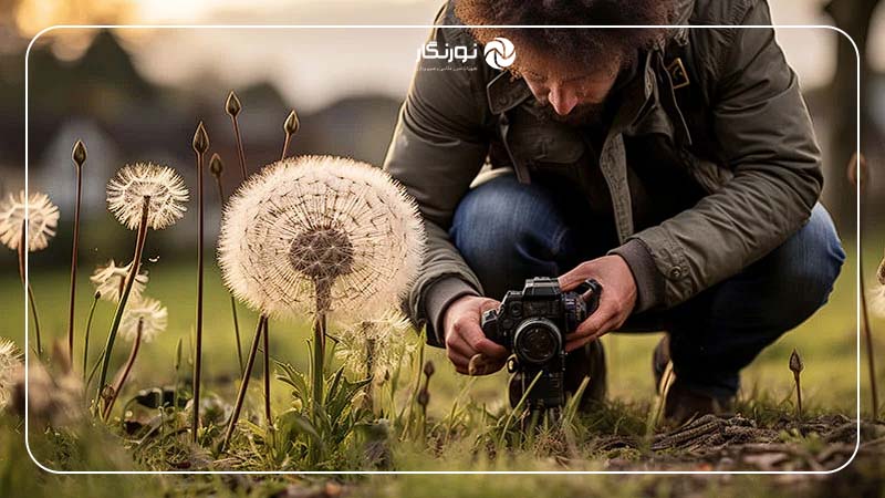 تجهیزات مناسب برای عکاسی در طبیعت و دشت