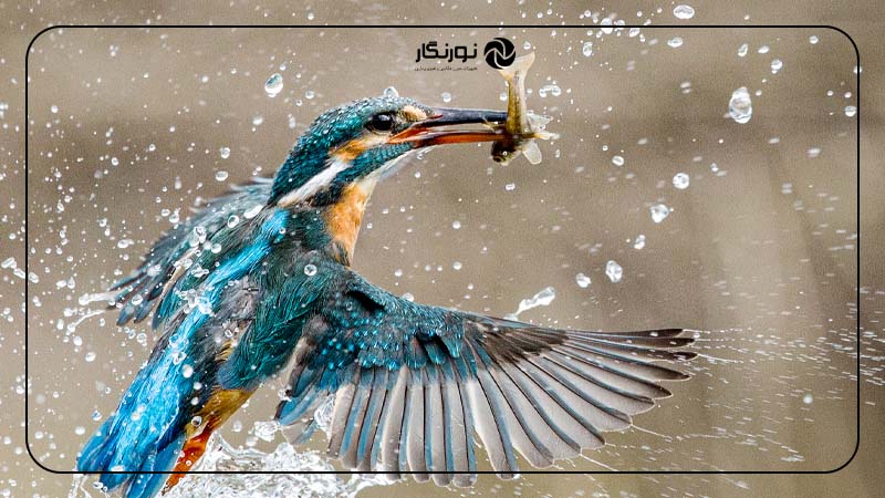 جنبه خلاقانه عکاسی را فراموش نکنید