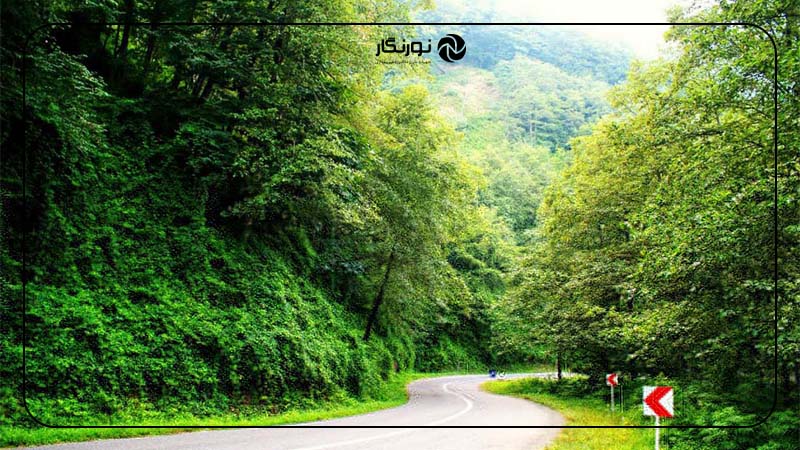 جنگل سیاهکل؛ جاذبه‌ای پر راز و چشم‌ نواز