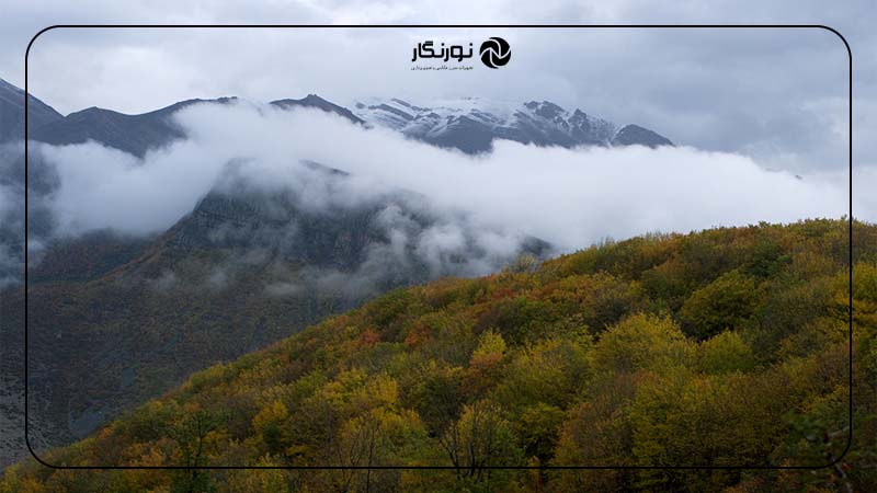 جنگل سیاه‌بیشه؛ سرزمین مه و سکوت