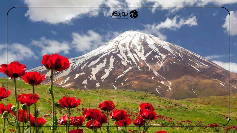 دشت لار مازندران؛ سرزمین شقایق‌ها در دامنه دماوند