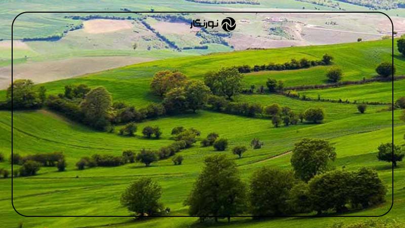 دشت ناز مازندران؛ پناهگاهی سرسبز در قلب طبیعت