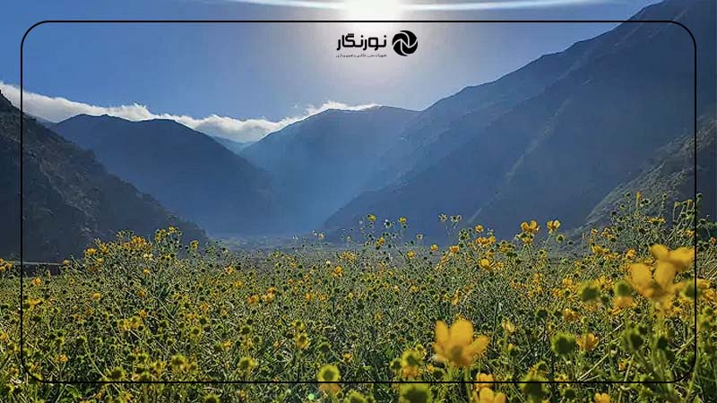 دشت هویج تهران؛ مقصدی بکر برای عکاسی و طبیعت‌گردی