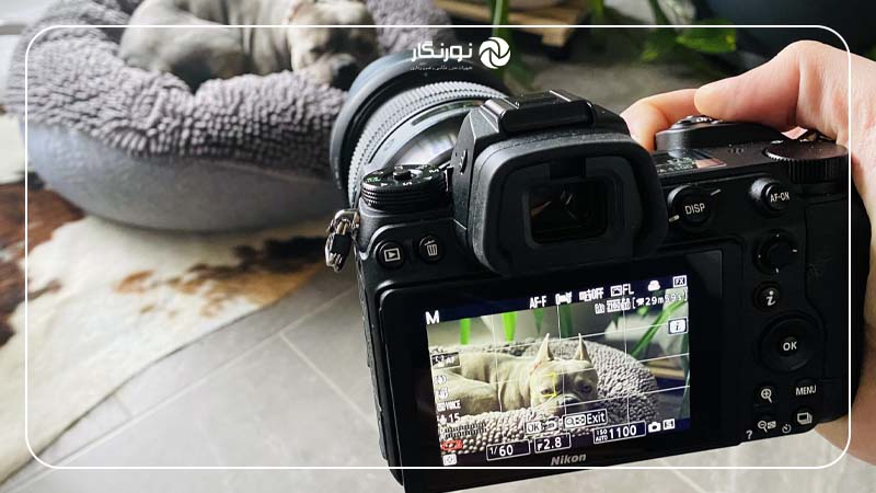 فوکوس خودکار در Nikon Z6 II
