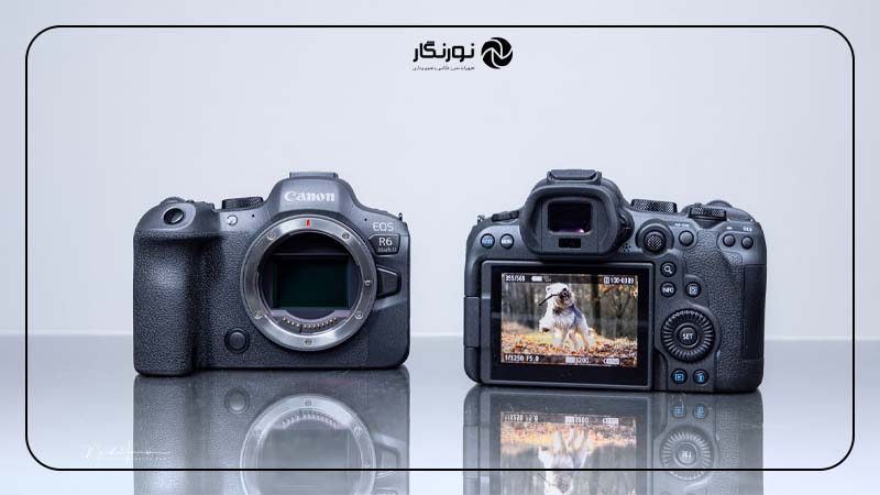 فیلم‌برداری در Canon EOS R6