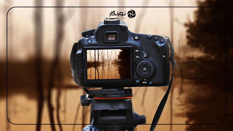 لایو ویو (Live View) چیست؟