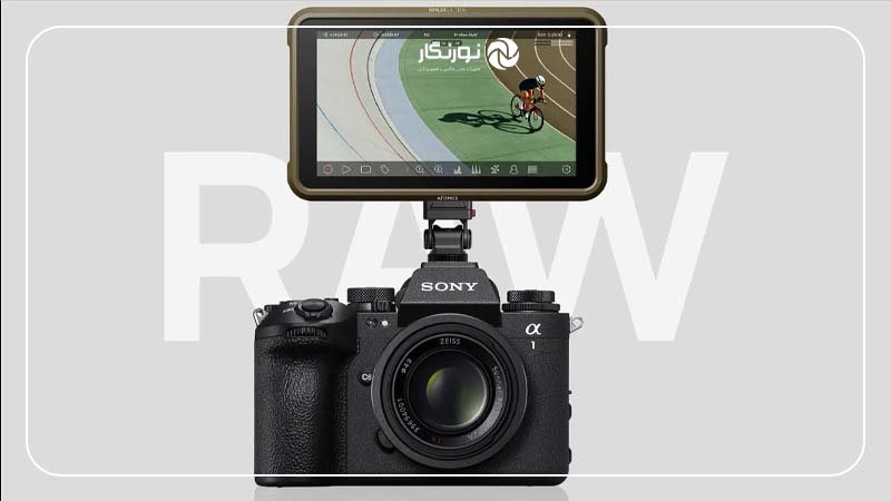 نویزگیری ترکیبی در فرمت RAW