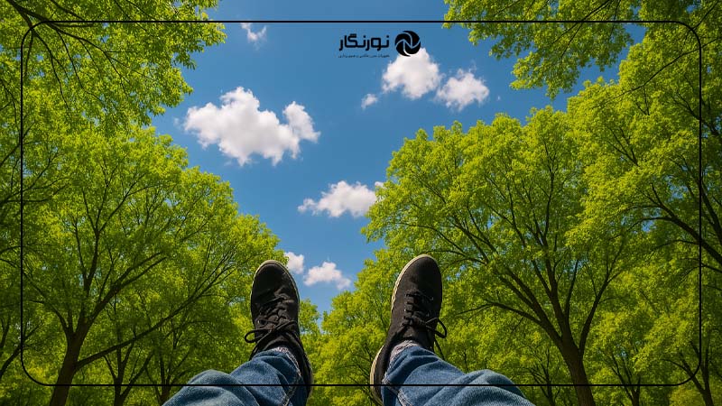 نگاه کردن به آسمان با پس‌زمینه درختان
