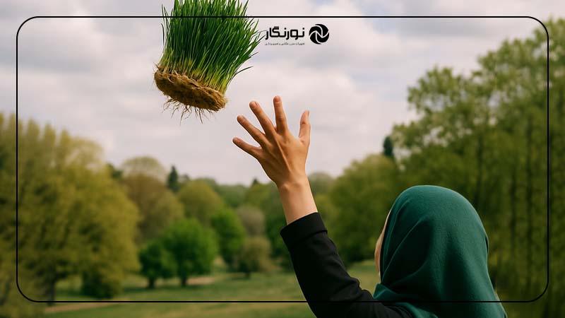 پرتاب کردن سبزه در هوا