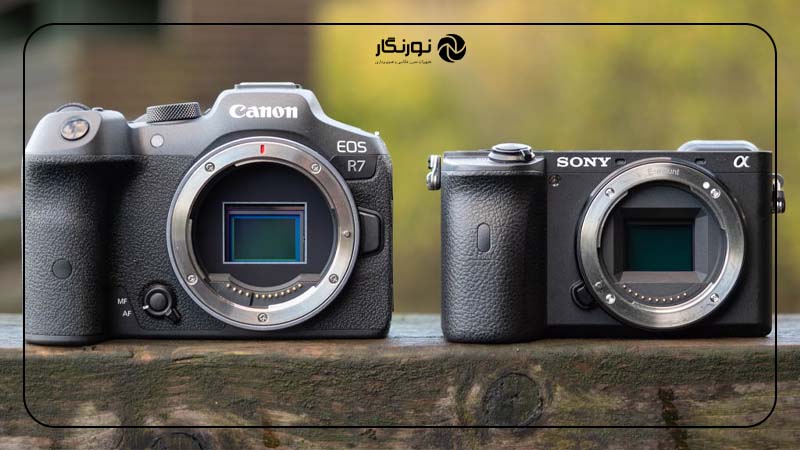 کدام برای عکاسی پرتره بهتر است؟ Canon EOS R7 یا Sony A6400 ؟