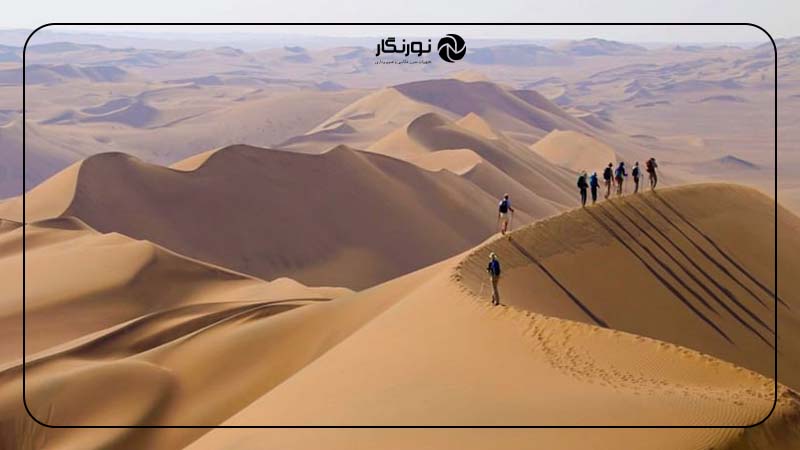 کویر ریگان؛ آشنایی با شنزارهای روشن جنوب شرق ایران