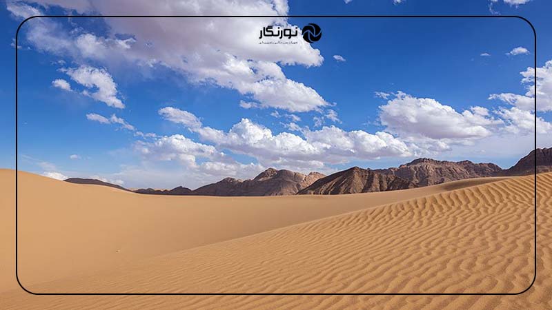 کویر مصر؛ طلوع رؤیاها در دل شن‌های روان