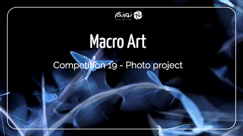 پروژه ماکرو – عکاس باغ و گیاهان سال