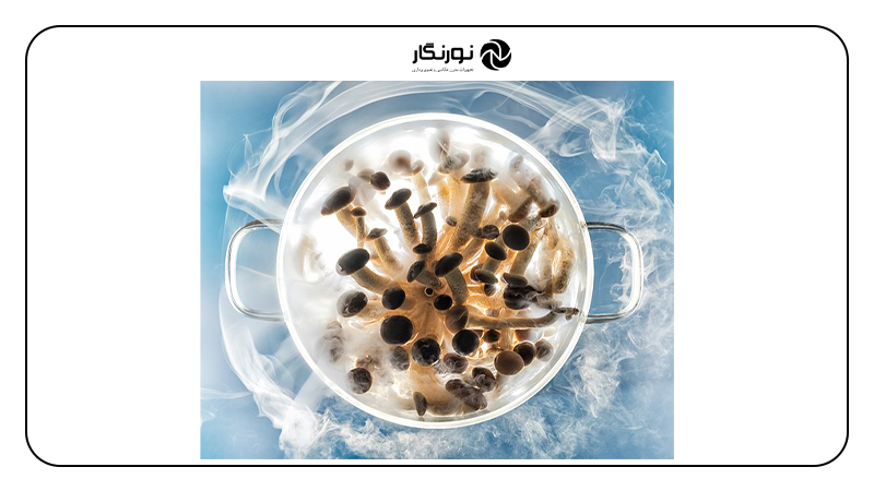 اعلام برندگان جوایز جهانی عکاسی غذا؛آثار پیشتر منتشر شده (Production Paradise)