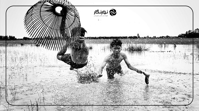 اعلام برندگان جوایز جهانی عکاسی غذا؛برداشت محصول