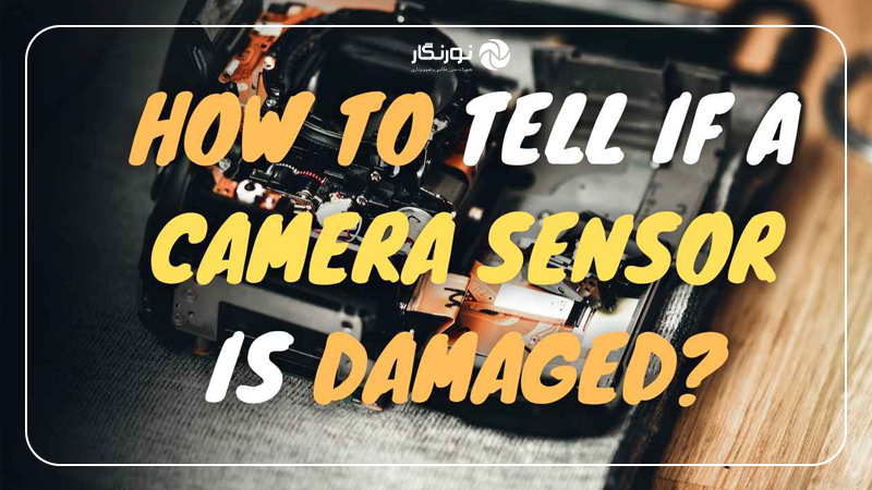 علت خرابی سنسور دوربینهای بدون آینه در تابستان؛ علائم هشدا