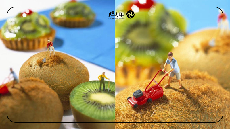 ۵۰ ایده برای عکاسی در خانه؛ منظره غذایی