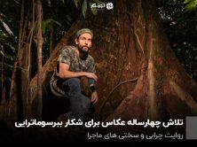 تلاش چهارساله عکاس برای شکار ببرسوماترایی؛ روایت چرایی و سختی های ماجرا