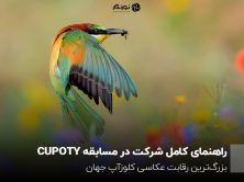 راهنمای کامل شرکت در مسابقه CUPOTY؛ بزرگ‌ترین رقابت عکاسی کلوزآپ جهان