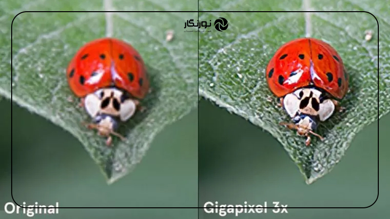 بالا بردن کیفیت فیلم؛ سایتهای آنلاین