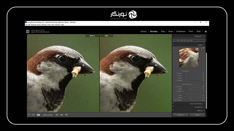 کاهش نویز عکس؛ Adobe Lightroom Classic / Lightroom