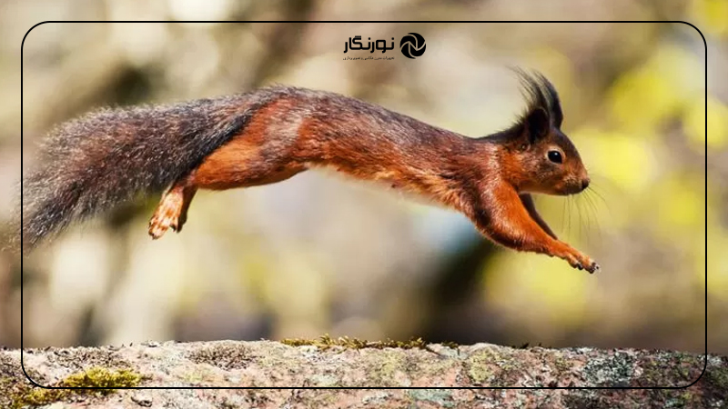 استفاده از دیافراگم باز