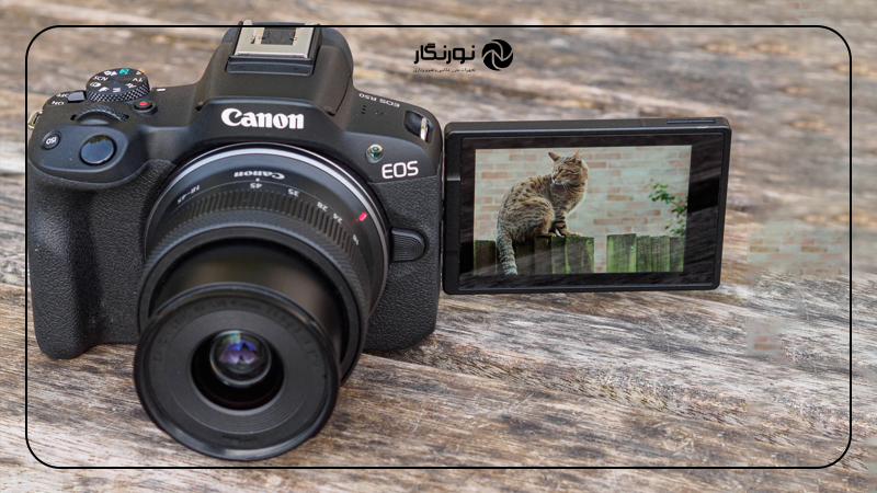 مقایسه Canon R50 با M50 Mark II؛ ارزش خرید و قیمت