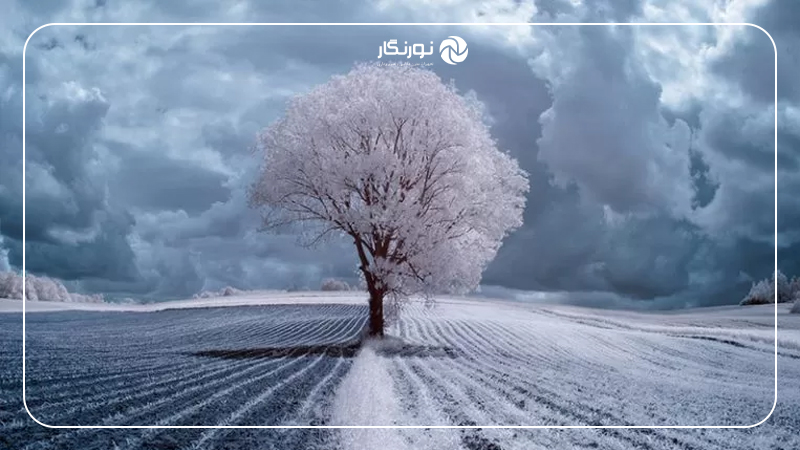 اهمیت ترکیب بندی در عکاسی