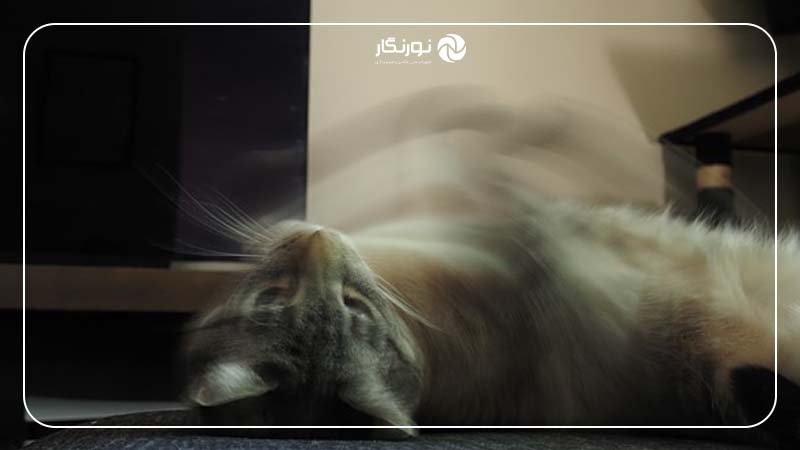 چرا عکس‌ها تار می‌شوند؛ حرکت سوژه
