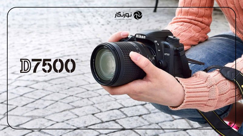 مقایسه Nikon Z5 و Nikon D7500؛ ساختار بدنه و ارگونومی