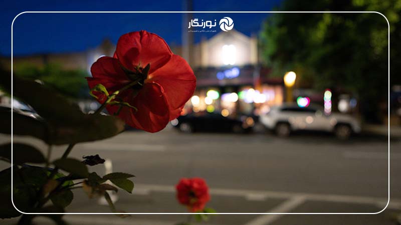 لنز Sigma 12mm F1.4 DC؛ قیمت و زمان عرضه