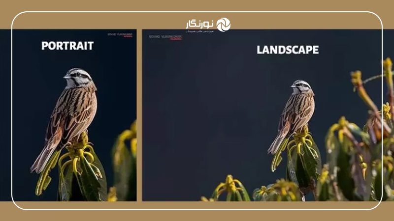 کادر منظره در مقابل کادر پرتره