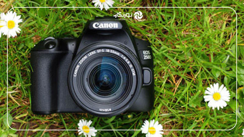 Canon EOS 250D Kit EF-S 18-55 mm f/3.5-5.6 III