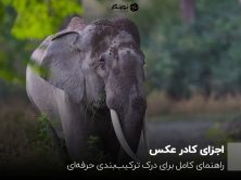 اجزای کادر عکس