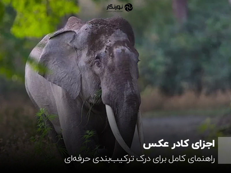 اجزای کادر عکس؛ راهنمای کامل برای درک ترکیب‌بندی حرفه‌ای